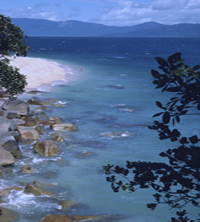 sky view of beautiful beach